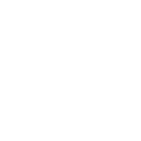 Icône de WordPress